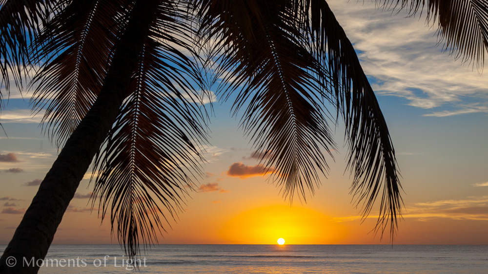 Tobago Sunset